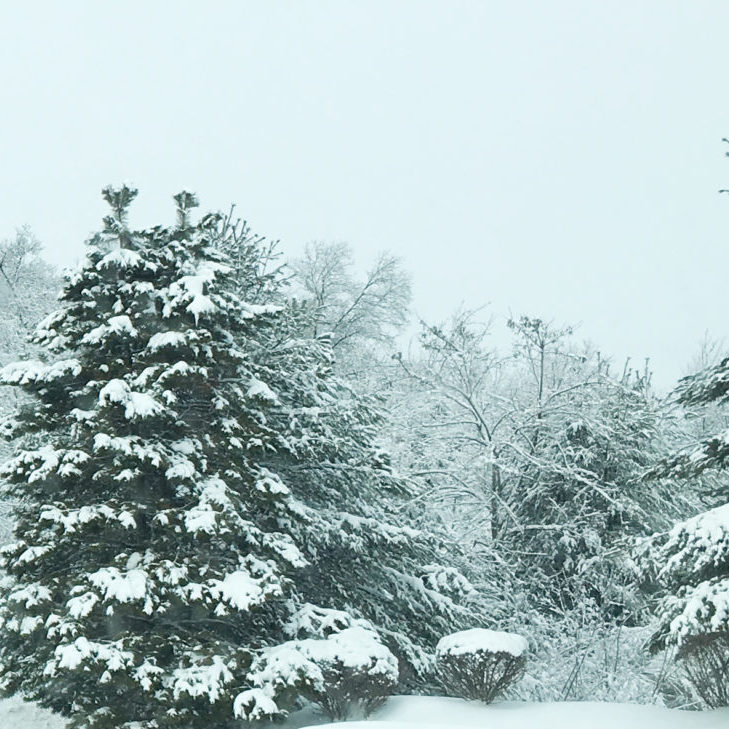 Snowy-Winter-Scene-1024x729